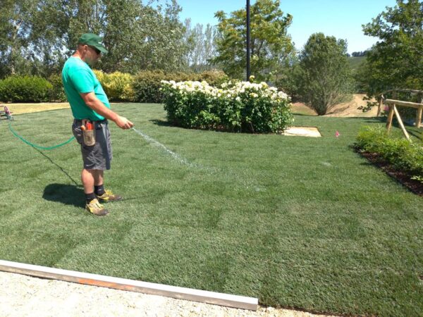 WhatsApp Image 2021-06-15 at 18.28.07